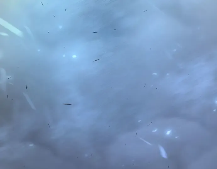 第二季 第147话 第388页