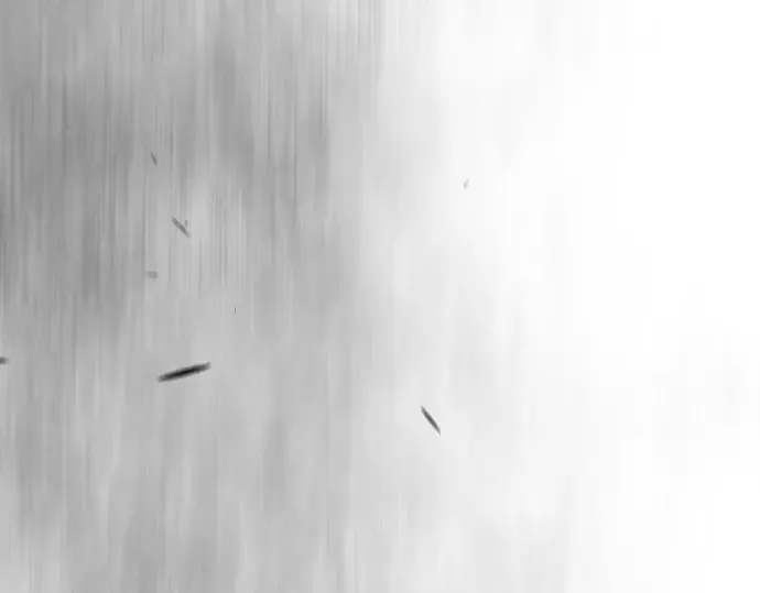 第二季 第147话 第435页