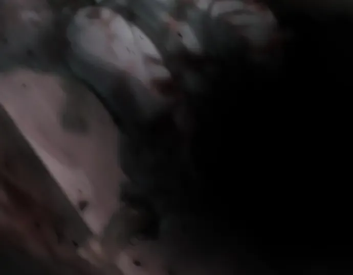 第二季 第143话 第255页