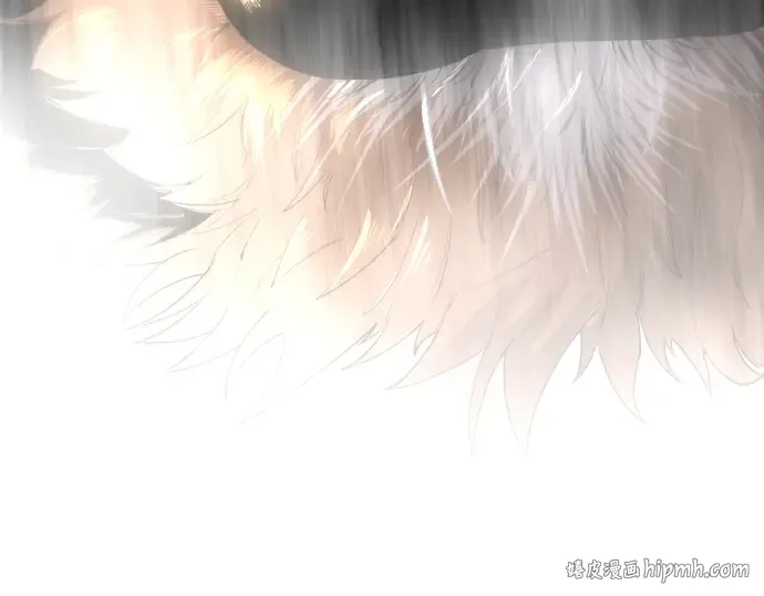 第二季 第54话 第224页