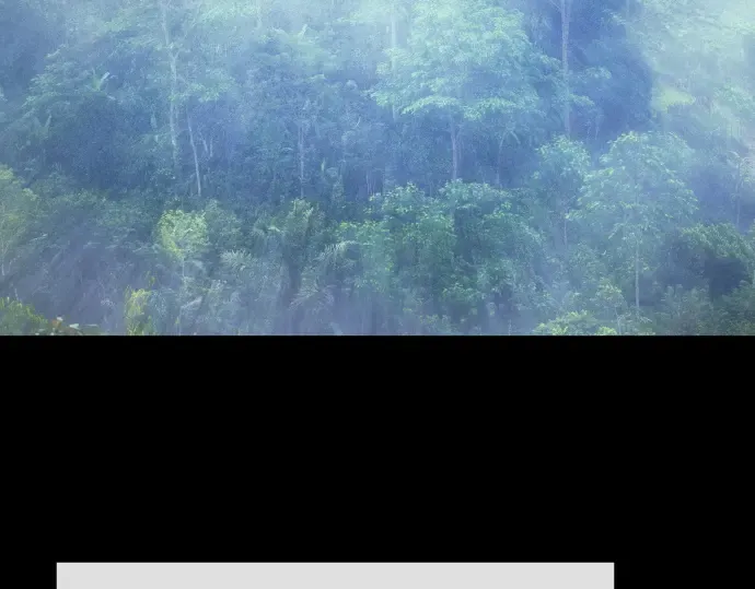 第二季 第109话 第12页