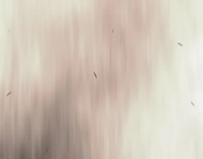 第二季 第109话 第164页