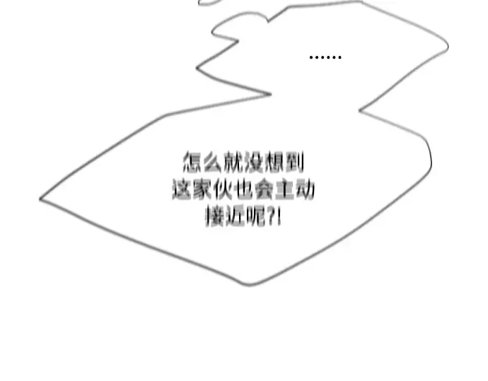 第79话 第43页