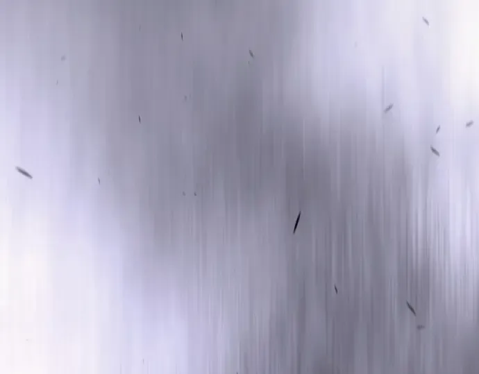 第二季 第103话 第378页