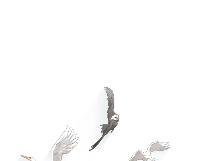 第二季 第135话 第28页