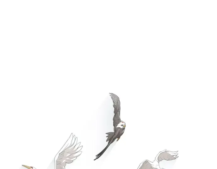 第二季 第107话 第15页
